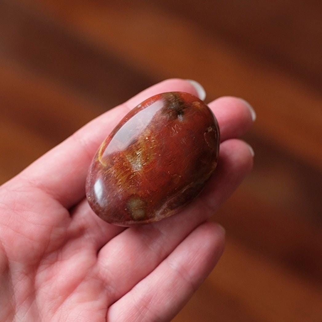 Red Petrified Wood Palm , Fossilized Wood Crystal Palmstone