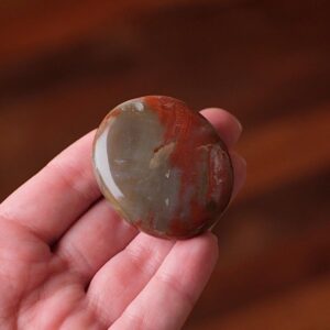 Red Petrified Wood Palm | Fossilized Wood Crystal Palmstone Red Petrified Wood Palm | Fossilized Wood Crystal Palmstone