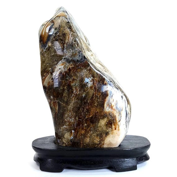 Petrified Wood Sculpture, Fossilized Wood Freeform Carving, Hand-polished Stunning Large 12 Lb Natural Stone, Home Decor From Indonesia