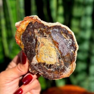 Petrified Wood slab - for grounding & balancing energy Petrified Wood slab - for grounding & balancing energy