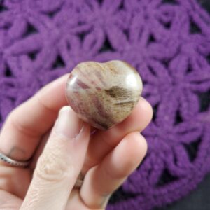 Petrified Wood Small Heart Red Brown Polished Pocket Stone Crystal Carving natural pet Madagascar fossil fossilized Petrified Wood Small Heart Red Brown Polished Pocket Stone Crystal Carving natural pet Madagascar fossil fossilized