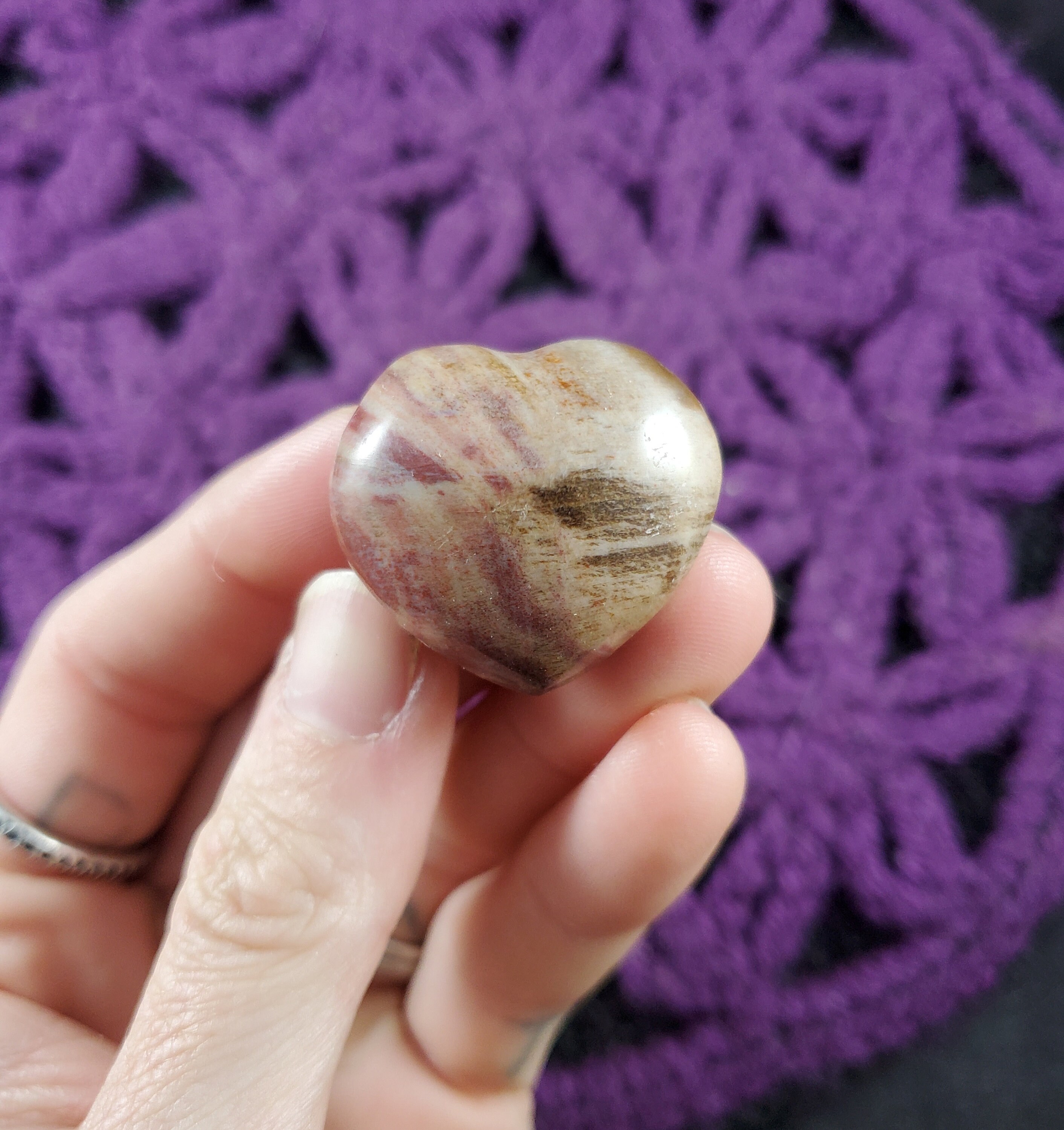 Petrified Wood Small Heart Red Brown Polished Pocket Stone Crystal Carving Natural Pet Madagascar Fossil Fossilized
