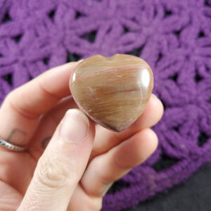Petrified Wood Small Heart Red Brown Polished Pocket Stone Crystal Carving natural pet Madagascar fossil fossilized Petrified Wood Small Heart Red Brown Polished Pocket Stone Crystal Carving natural pet Madagascar fossil fossilized