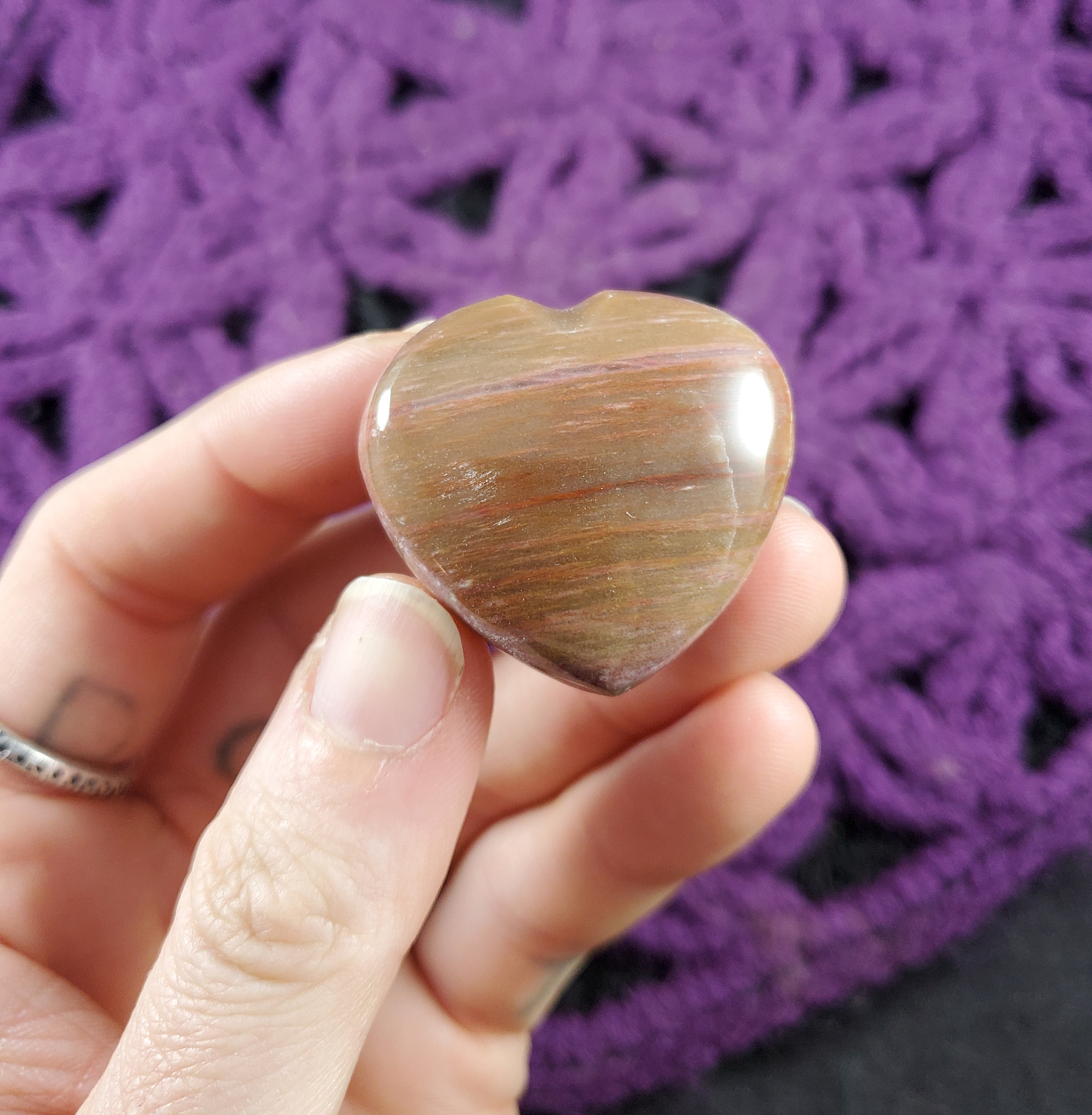 Petrified Wood Small Heart Red Brown Polished Pocket Stone Crystal Carving Natural Pet Madagascar Fossil Fossilized