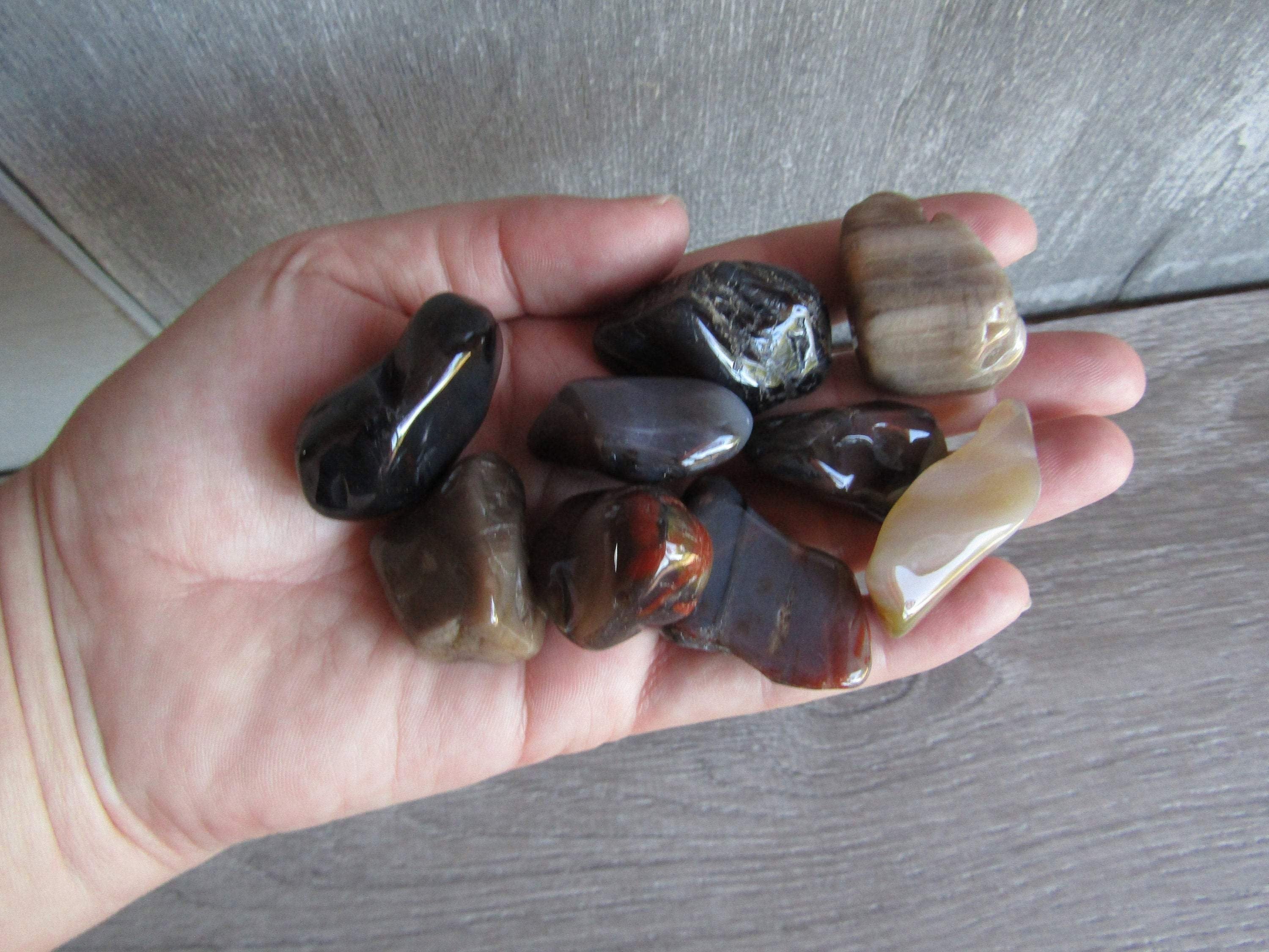 Petrified Wood 1 Inch + Tumbled Stone