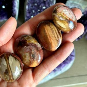 Large Petrified Wood Tumble, Tumbled , Root Chakra, Security, Grounding, Wisdom Large Petrified Wood Tumble, Tumbled , Root Chakra, Security, Grounding, Wisdom