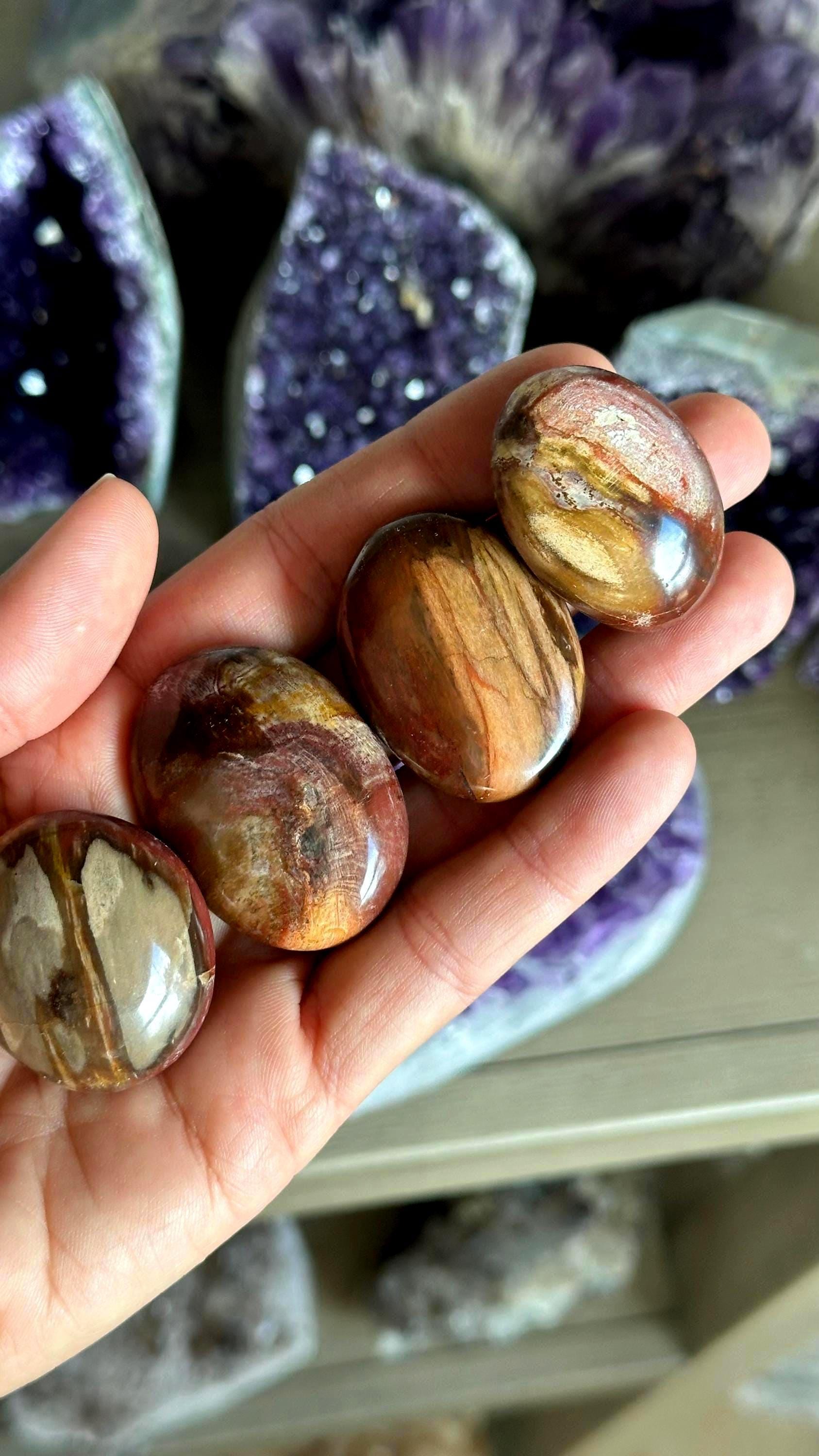 Large Petrified Wood Tumble, Tumbled , Root Chakra, Security, Grounding, Wisdom Large Petrified Wood Tumble, Tumbled , Root Chakra, Security, Grounding, Wisdom