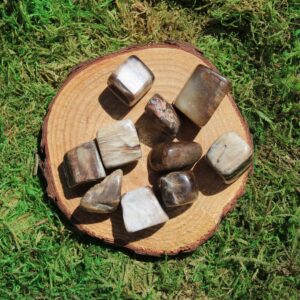Petrified Wood Madagascar Tumbled Size Medium Petrified Wood Madagascar Tumbled Size Medium