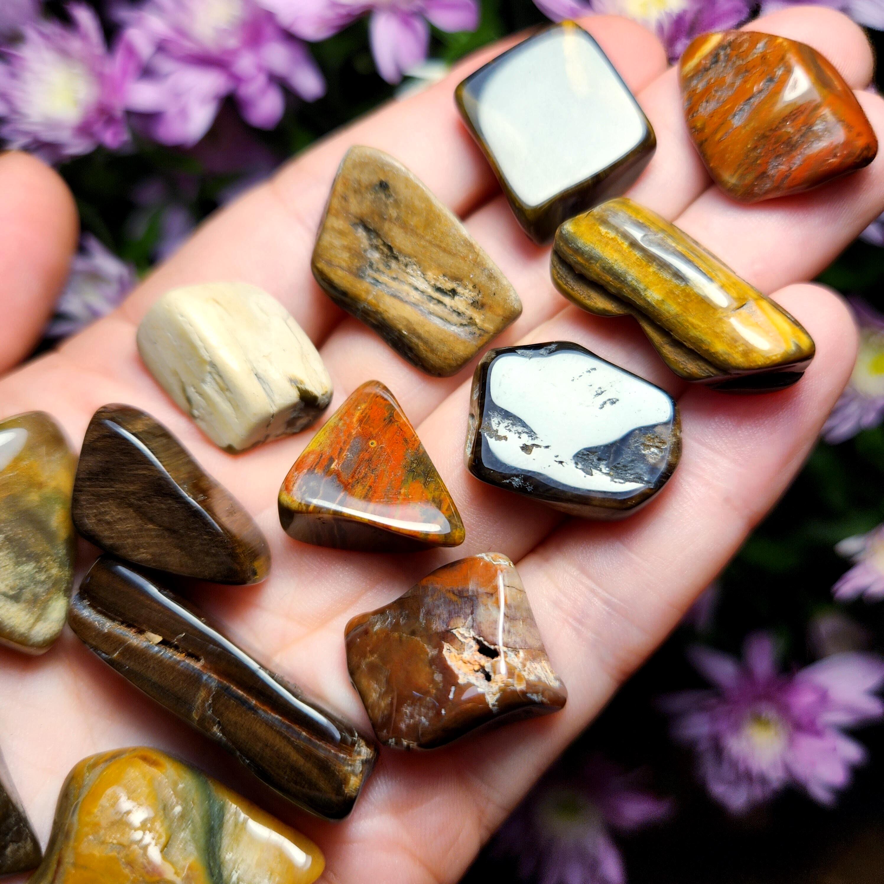 Tumbled Petrified Wood Specimen: Natural, Polished Fossilized Wood