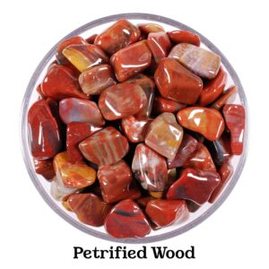 Petrified Wood Tumbled Stone, Ancient Wisdom, Grounding And Patience, Root Chakra Fossil Crystal, Gift For Capricorn Taurus Natural Gem Petrified Wood Tumbled Stone, Ancient Wisdom, Grounding And Patience, Root Chakra Fossil Crystal, Gift For Capricorn Taurus Natural Gem