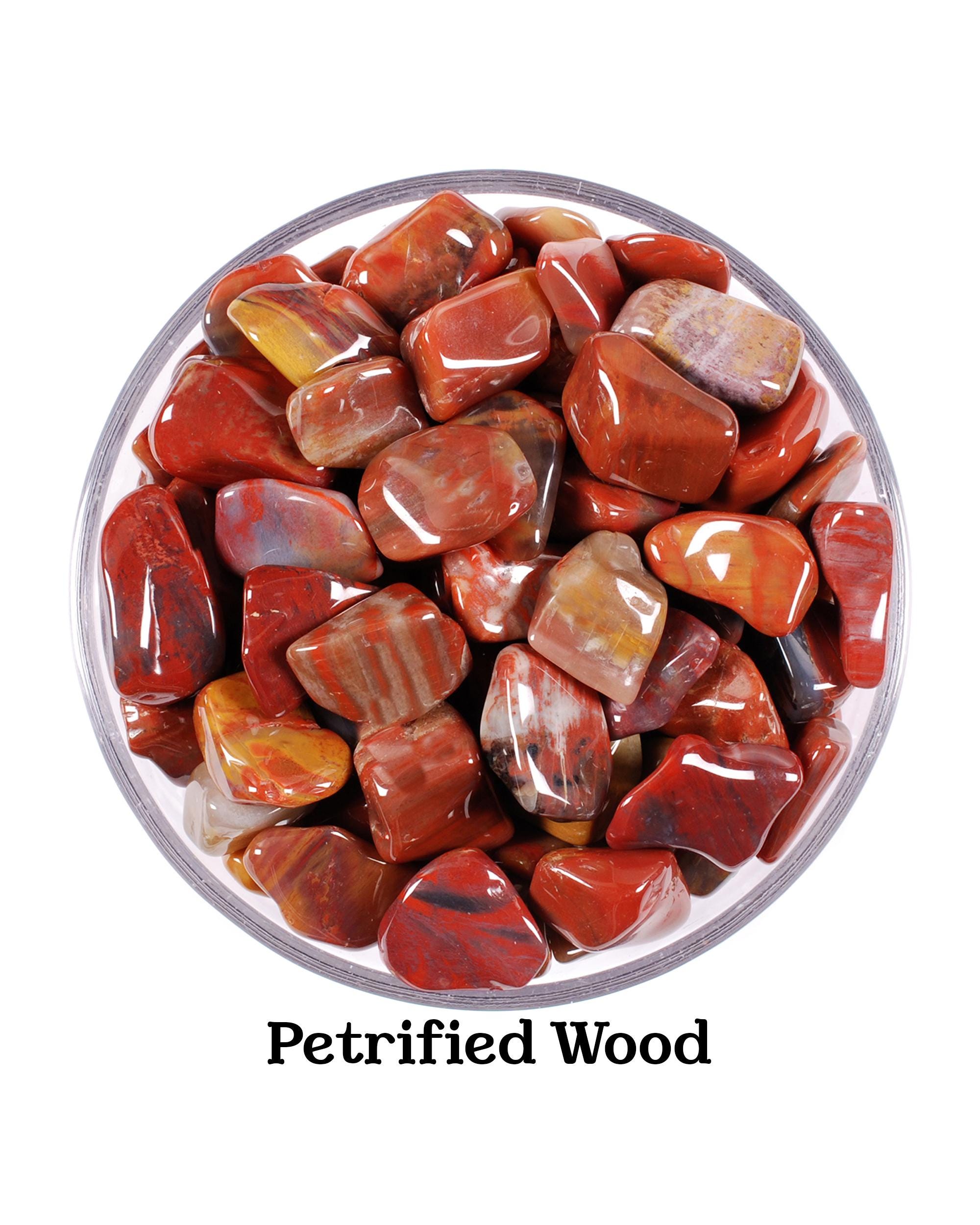 Petrified Wood Tumbled Stone, Ancient Wisdom, Grounding And Patience, Root Chakra Fossil Crystal, Gift For Capricorn Taurus Natural Gem Petrified Wood Tumbled Stone, Ancient Wisdom, Grounding And Patience, Root Chakra Fossil Crystal, Gift For Capricorn Taurus Natural Gem