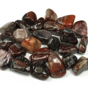 Petrified Wood Tumbled Stone – Fossilized Wood Rock – Natural Fossilized Wood – Crystal Petrified – Tu1124 Petrified Wood Tumbled Stone – Fossilized Wood Rock – Natural Fossilized Wood – Crystal Petrified – Tu1124