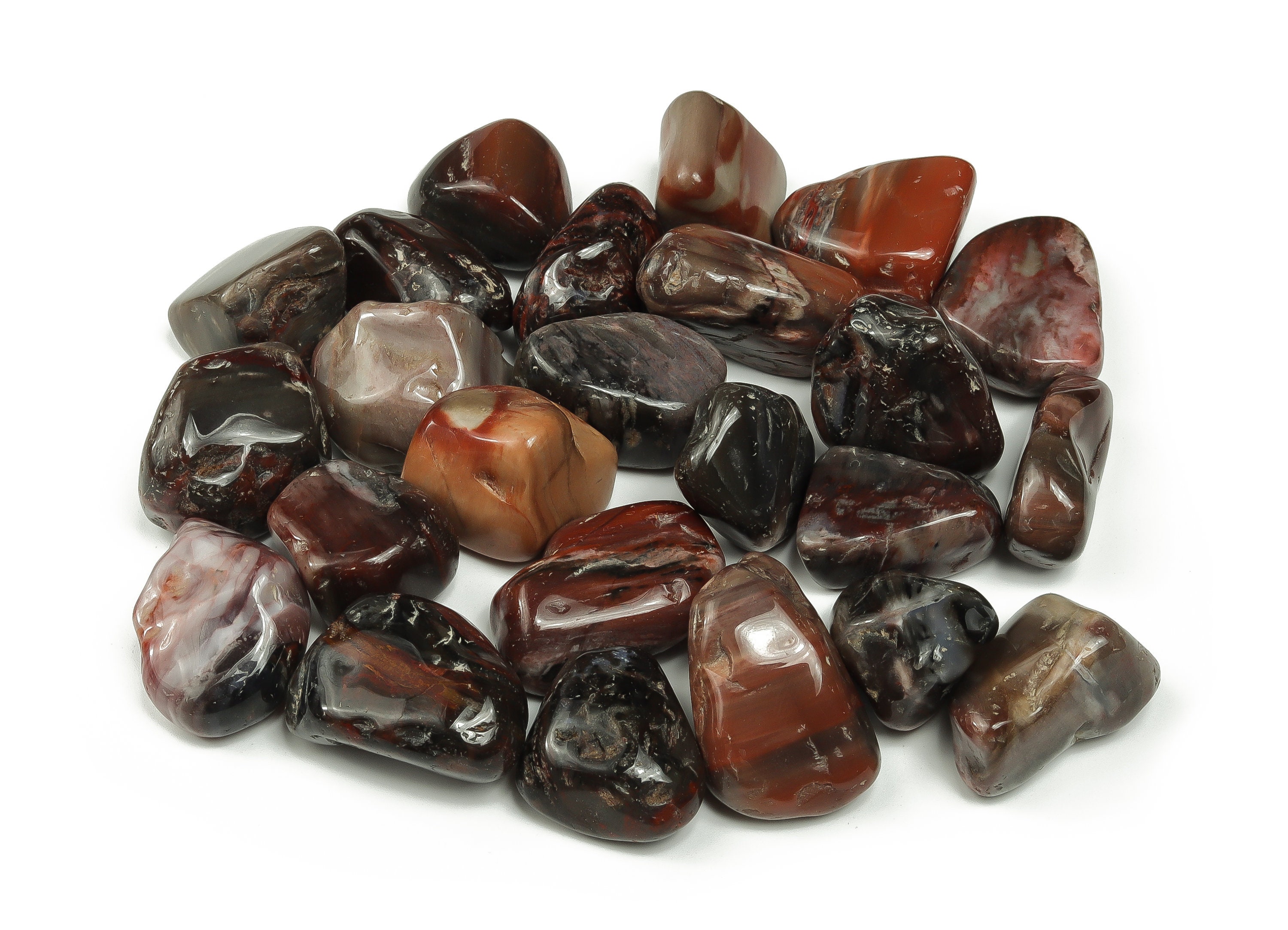 Petrified Wood Tumbled Stone – Fossilized Wood Rock – Natural Fossilized Wood – Crystal Petrified – Tu1124 Petrified Wood Tumbled Stone – Fossilized Wood Rock – Natural Fossilized Wood – Crystal Petrified – Tu1124