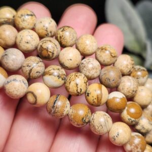 Picture Jasper Bracelet - Beaded Crystal Bracelet - Picture Jasper Jewelry Picture Jasper Bracelet - Beaded Crystal Bracelet - Picture Jasper Jewelry