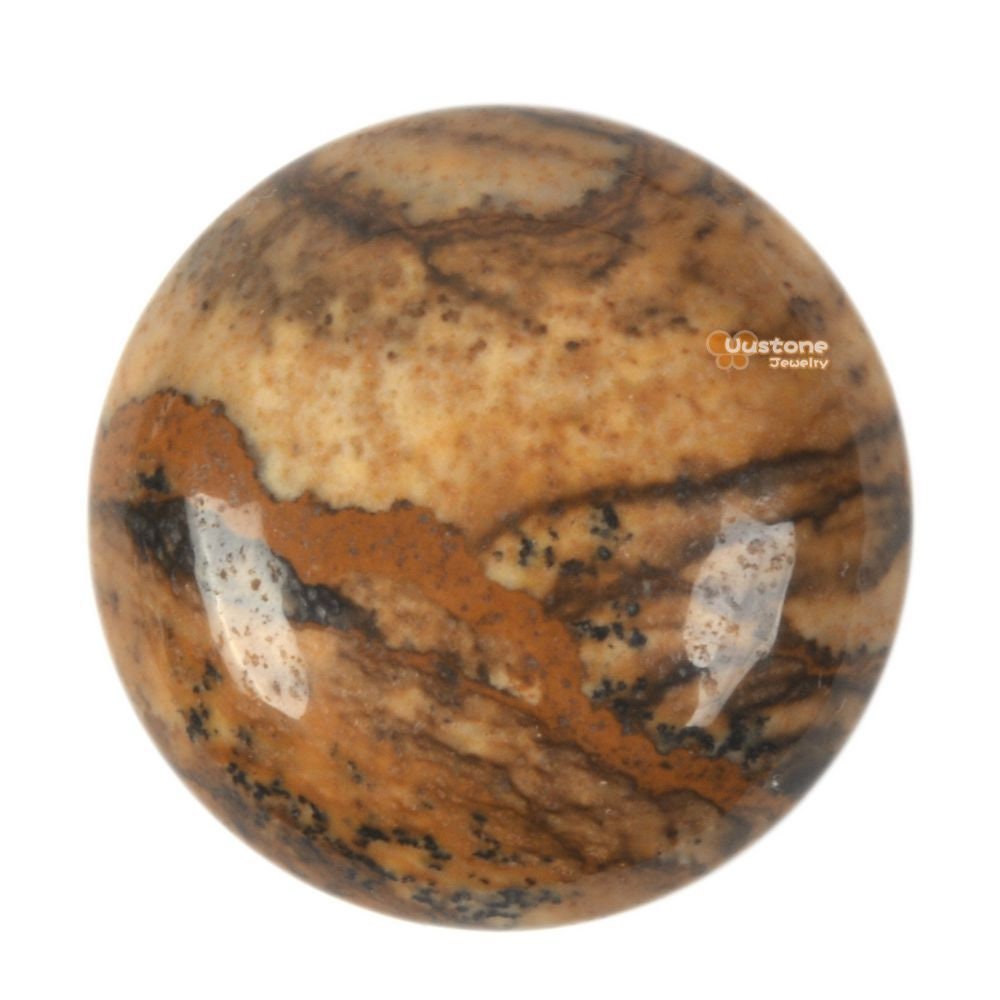 25mm  Picture Jasper Round Flatback Cab Cabochon