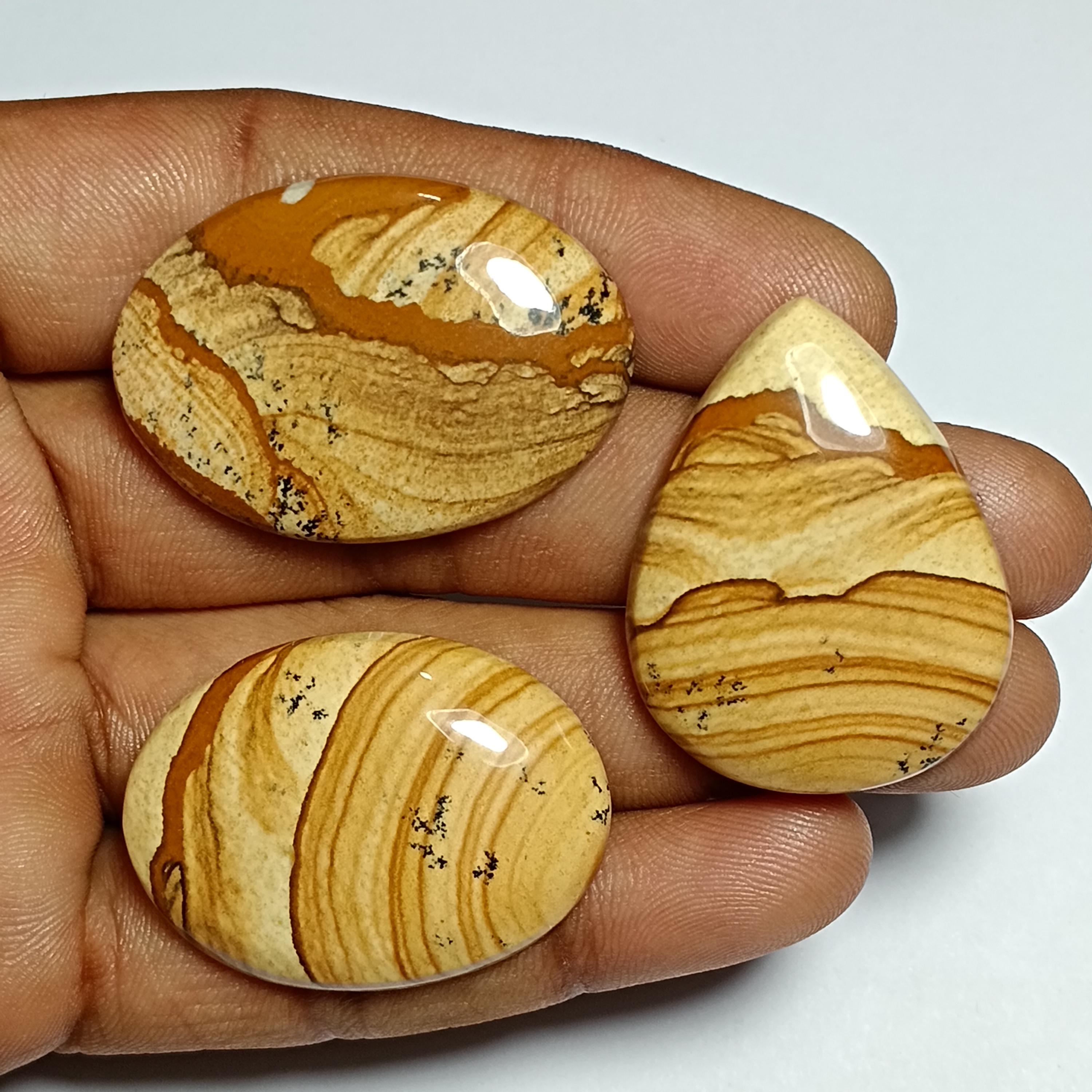 Picture Jasper Cabochons: Natural Gemstone Lot, 3 Pcs (137cts.)