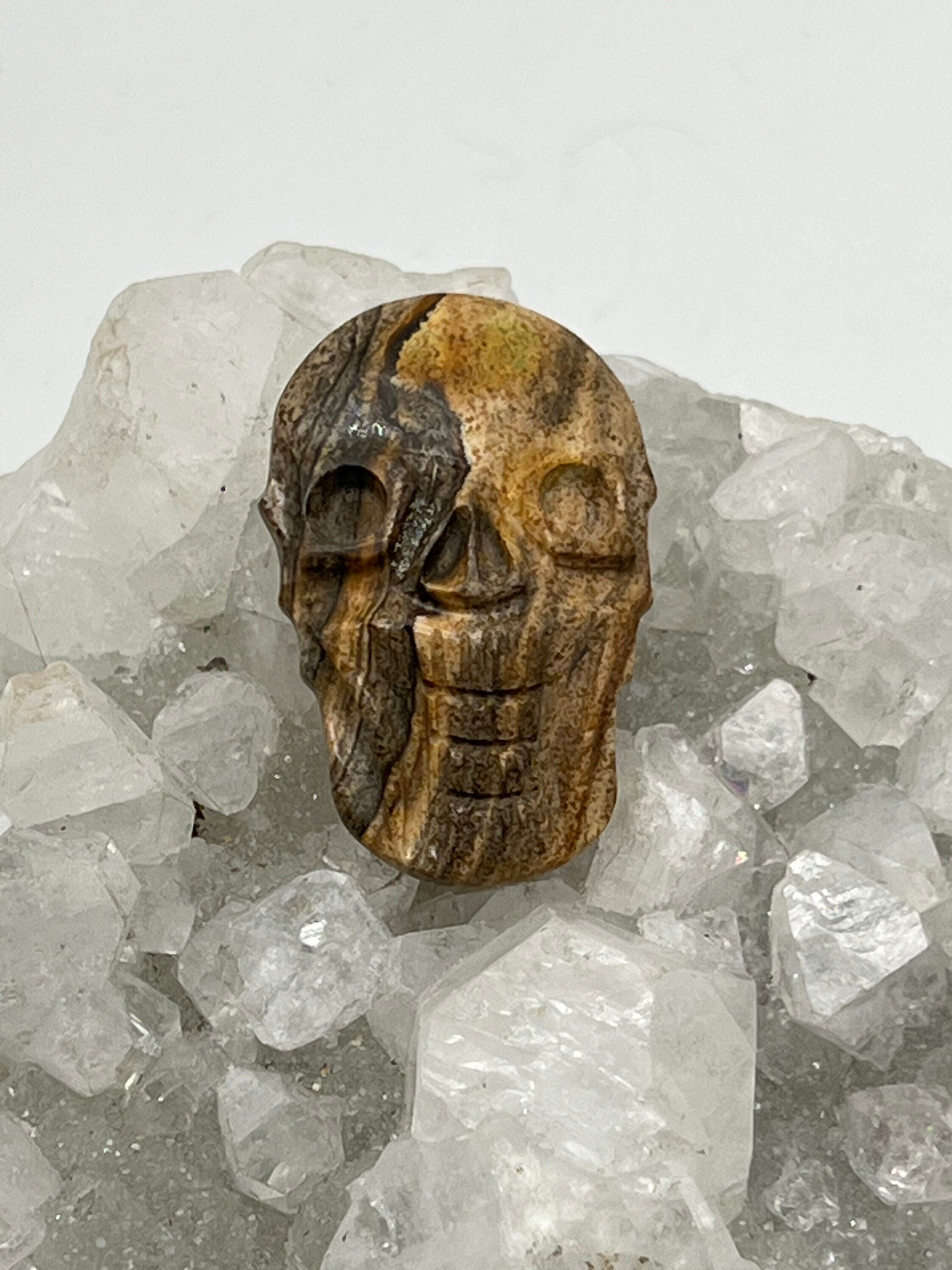 Picture Jasper Carved Skull Cabochon 46ct Picture Jasper Carved Skull Cabochon 46ct