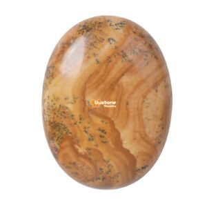 G2498/2 40mm Picture jasper oval flatback cab cabochon