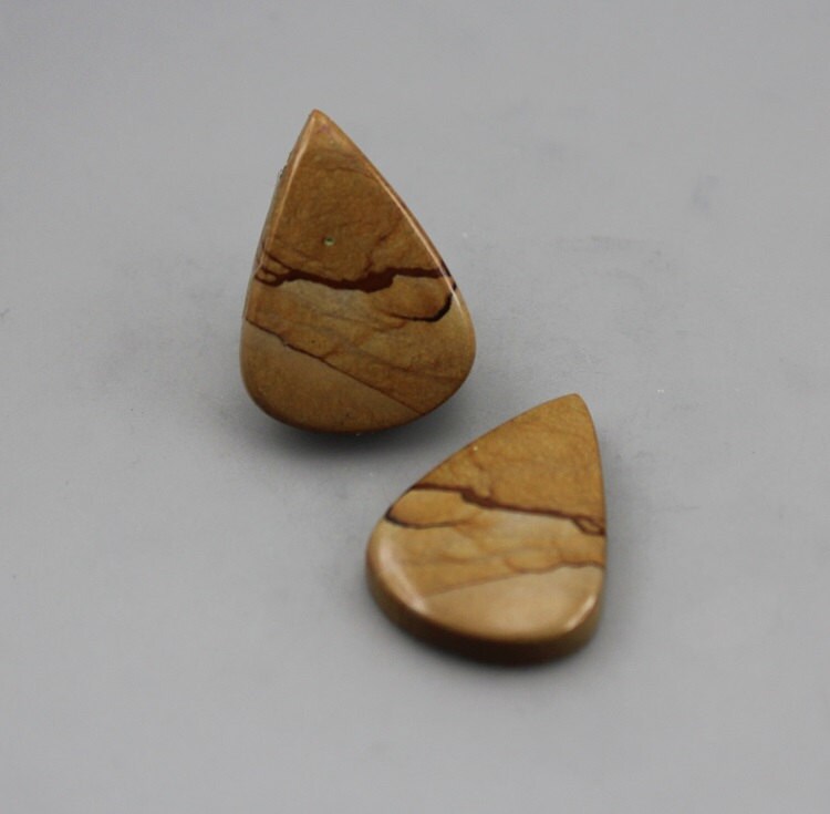 Picture Jasper Matching Pair Cabochons