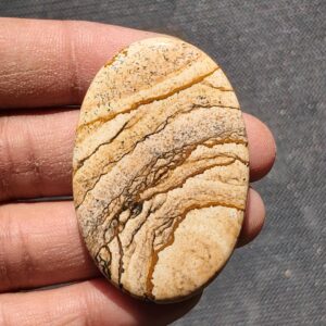 Picture Jasper Cabochon: Natural Gemstone, 50x34mm, 93cts.