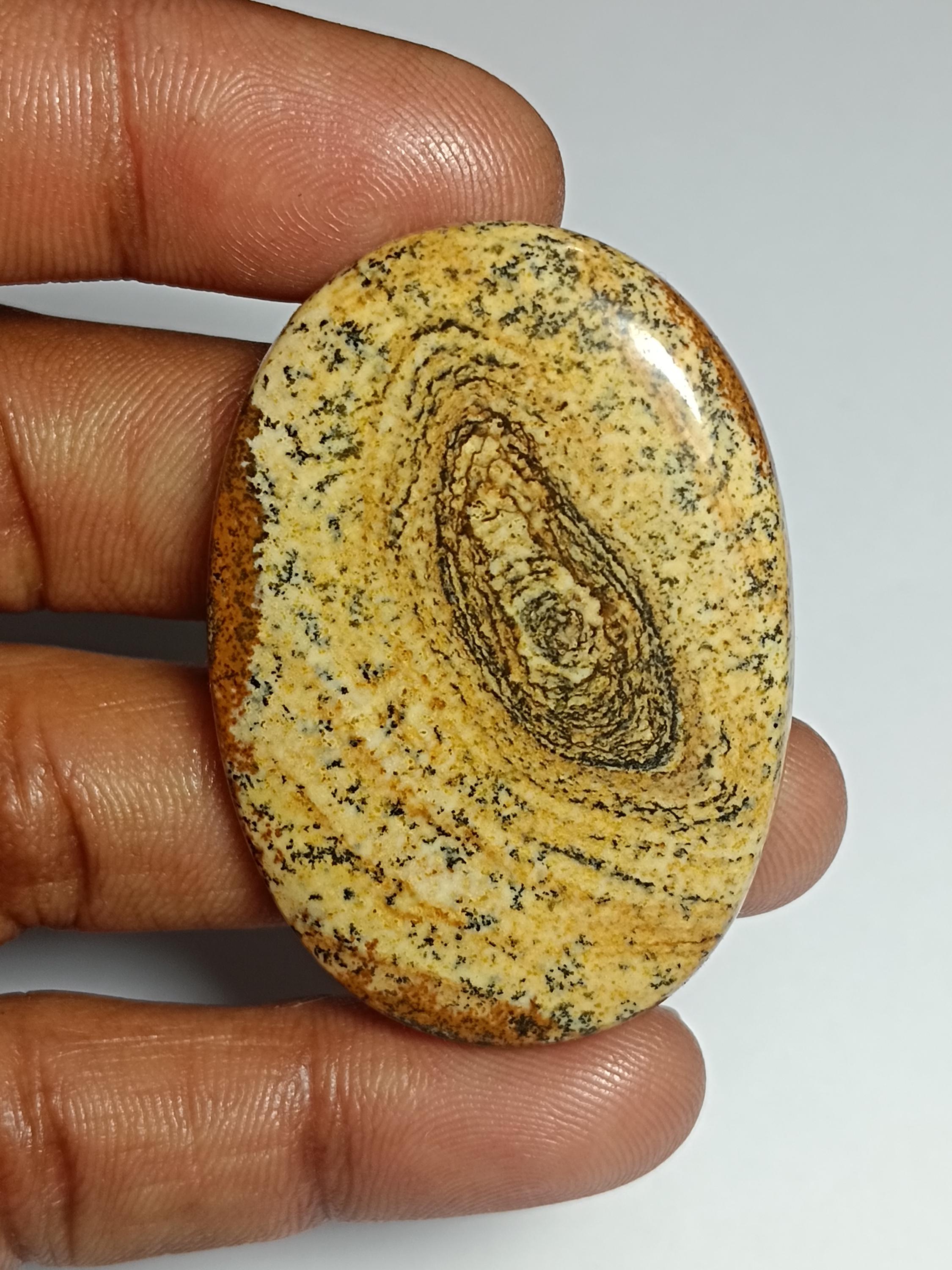 Picture Jasper Cabochon: Natural Gemstone, 46x33mm, 76cts. Picture Jasper Cabochon: Natural Gemstone, 46x33mm, 76cts.