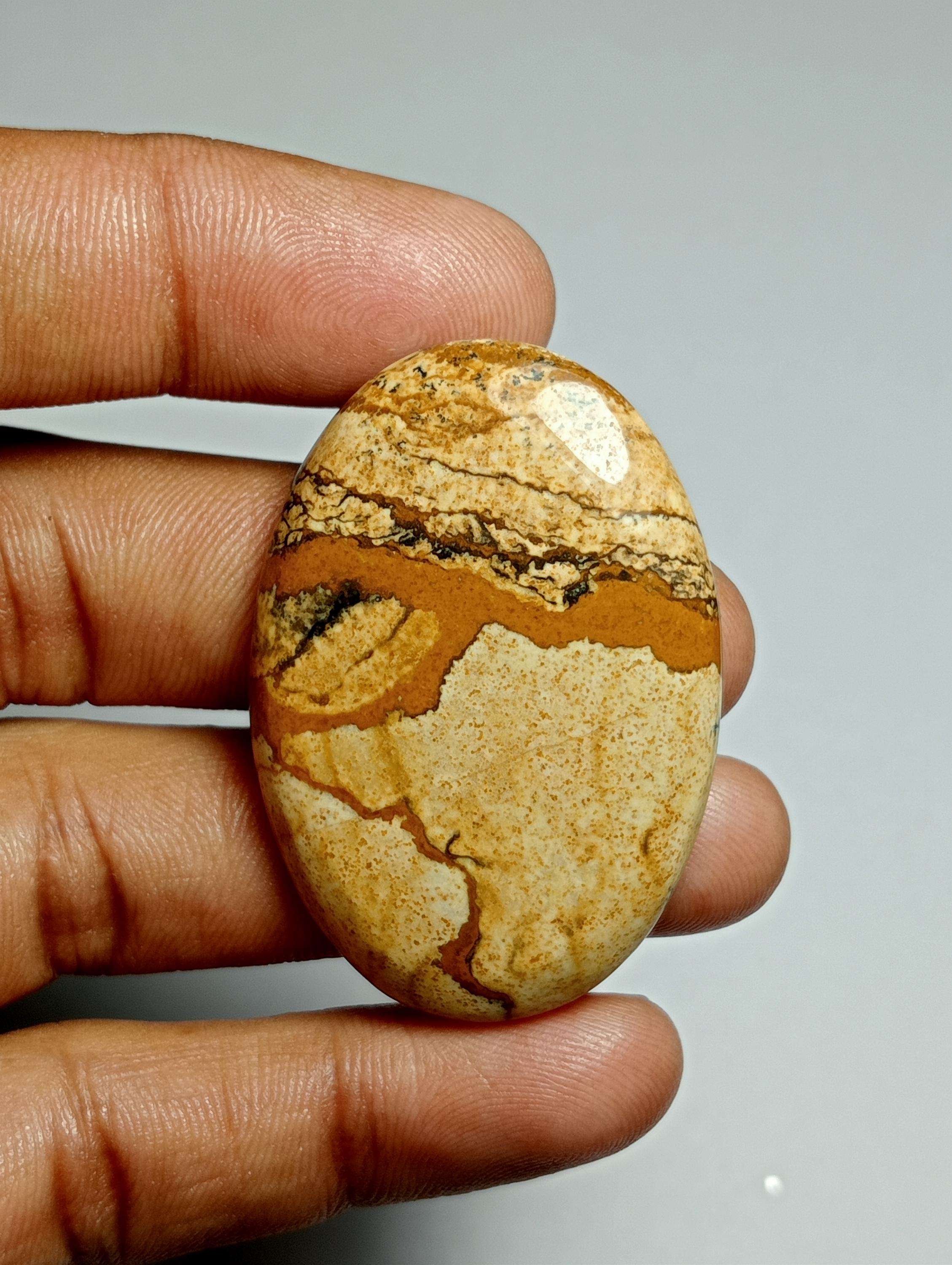 Natural Picture Jasper Cabochon: Loose Gemstone (65cts, 43 X 30 Mm) #500