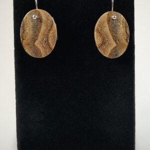 Picture Jasper And Sterling Silver Earrings Handmade By Chris Hay