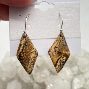 Picture Jasper Charm Earrings