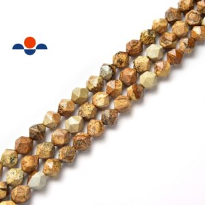 Picture Jasper Faceted Star Cut Beads 8mm 15.5" Strand