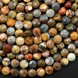Faceted Natural Owyhee Picture Jasper Coin Beads 6mm 8mm 10mm 15.5" Strand Faceted Natural Owyhee Picture Jasper Coin Beads 6mm 8mm 10mm 15.5" Strand