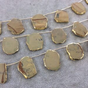 Picture Jasper Slab Beads with Gold Electroplating - Smooth Top Drilled Beads Picture Jasper Slab Beads with Gold Electroplating - Smooth Top Drilled Beads