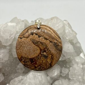 Picture Jasper Pendant