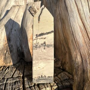 Picture Jasper Tower - Jasper Stone - Crystal Carved Obelisk - Jasper Tower - Reiki - Crystal Healing - Dendritic Jasper Picture Jasper Tower - Jasper Stone - Crystal Carved Obelisk - Jasper Tower - Reiki - Crystal Healing - Dendritic Jasper
