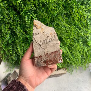 567g Beautiful Picture Jasper Raw Stone Freeform, Flower Jasper, Dendritic Jasper, Stone of Grounding