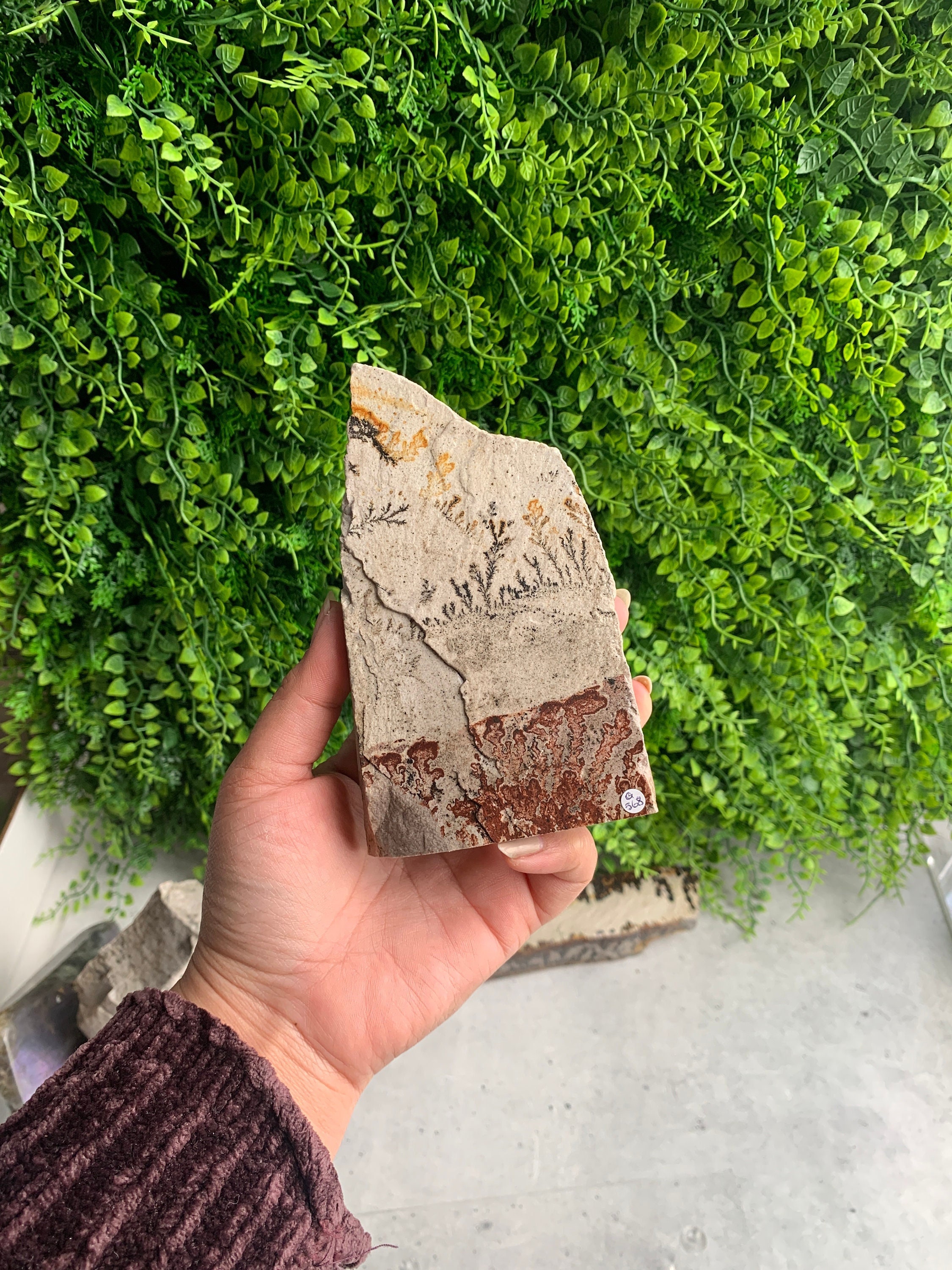 567g Beautiful Picture Jasper Raw Stone Freeform, Flower Jasper, Dendritic Jasper, Stone Of Grounding