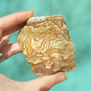 Raw Picture Jasper 7.6 oz Mineral Specimen Crystal Lapidary Rough
