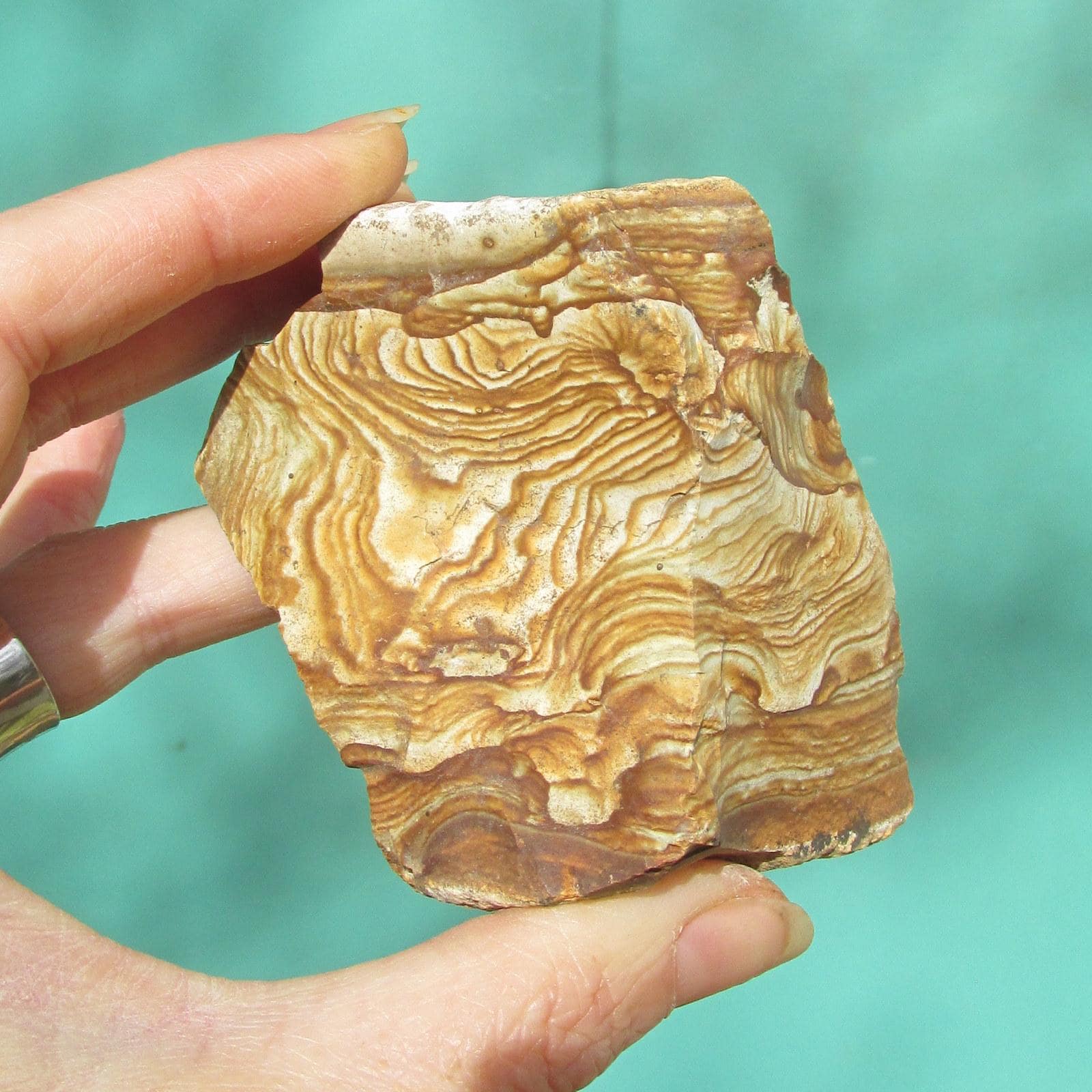 Raw Picture Jasper 7.6 Oz Mineral Specimen Crystal Lapidary Rough