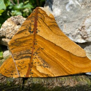 African Queen Picture Jasper raw unpolished Lapidary Slab Rough Slice from Namibia 100 g