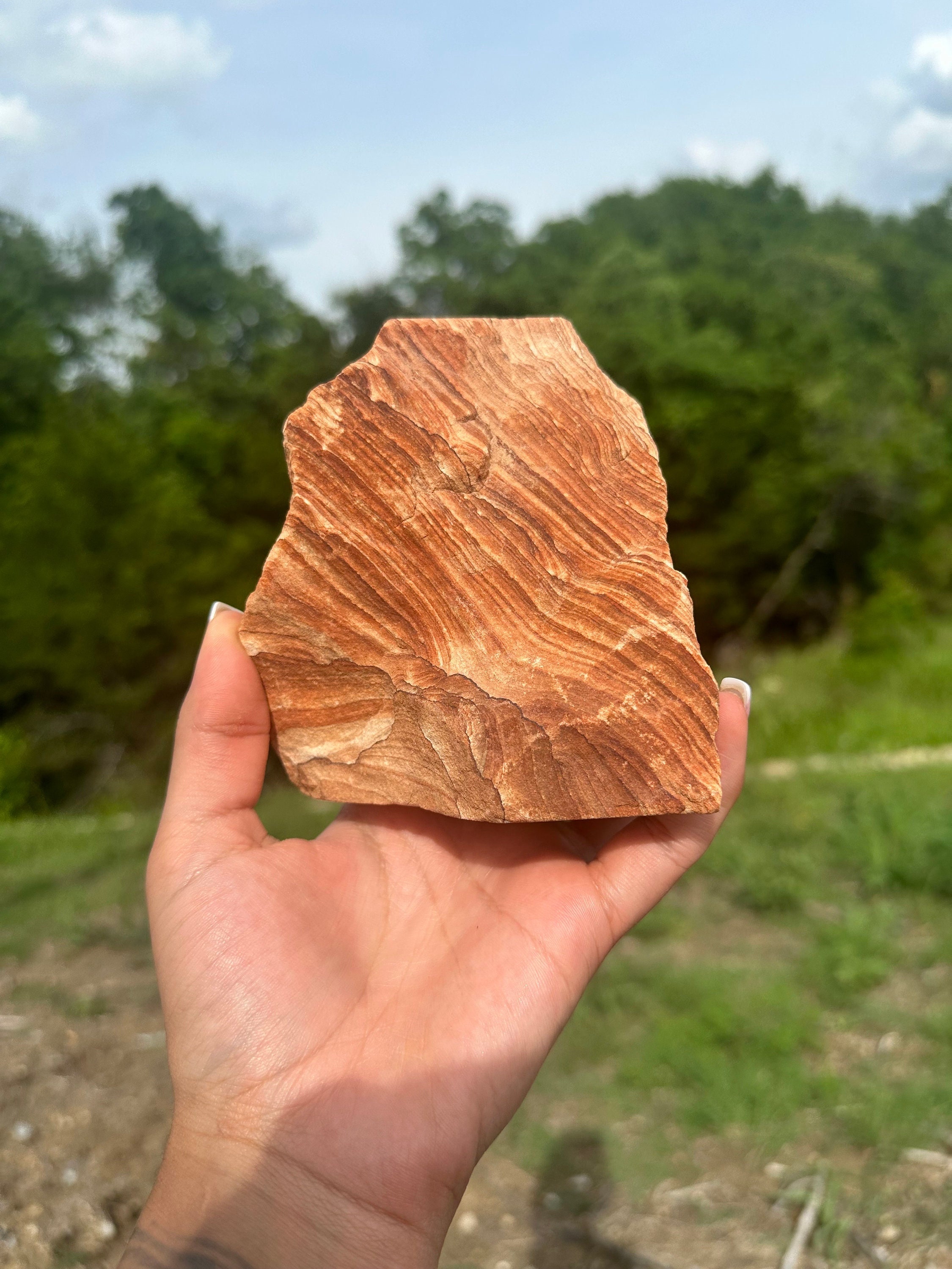 Standing Rough Picture Jasper | Natural Deschute Jasper Stone | Grounding & Earth Energy Crystal