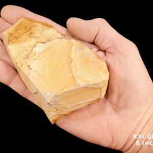 TAN PICTURE JASPER 4 1/2" 1-2 Lb Wild Horse Owyhee Extra Large Rough Rock Mineral Third Eye Raw Chakra Crystal Stone Specimen xx