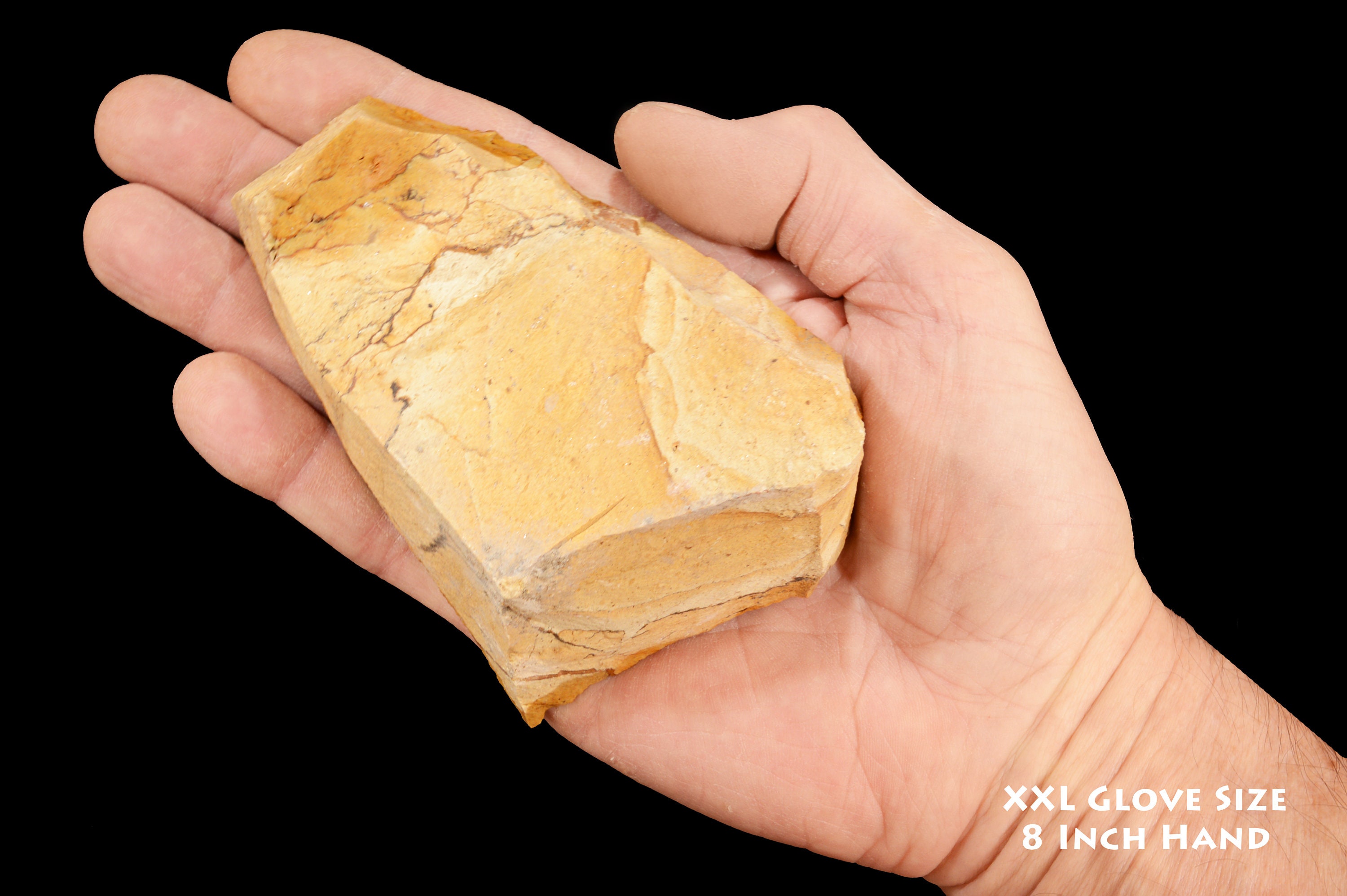 Tan Picture Jasper 4 1/2" 1-2 Lb Wild Horse Owyhee Extra Large Rough Rock Mineral Third Eye Raw Chakra Crystal Stone Specimen Xx