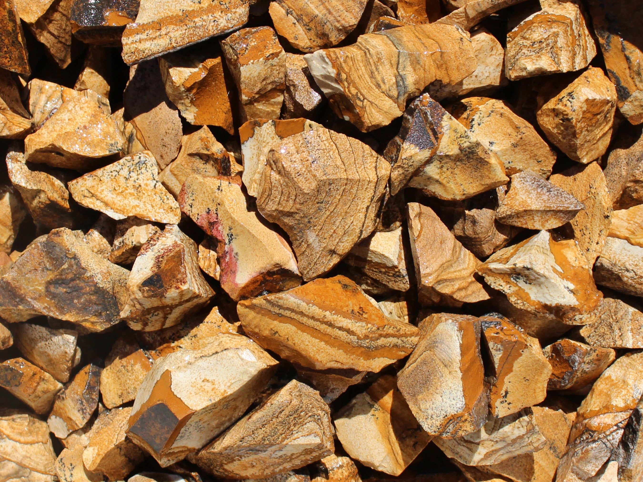 Picture Jasper | Tumbling Rough Rocks From Namibia | Raw Picture Jasper Crystal | Wholesale Bulk Crystal | Healing Crystal | Lapidary Supply
