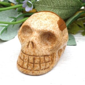 Picture Jasper Crystal Skull • Ethically Sourced Picture Jasper Crystal Skull • Ethically Sourced