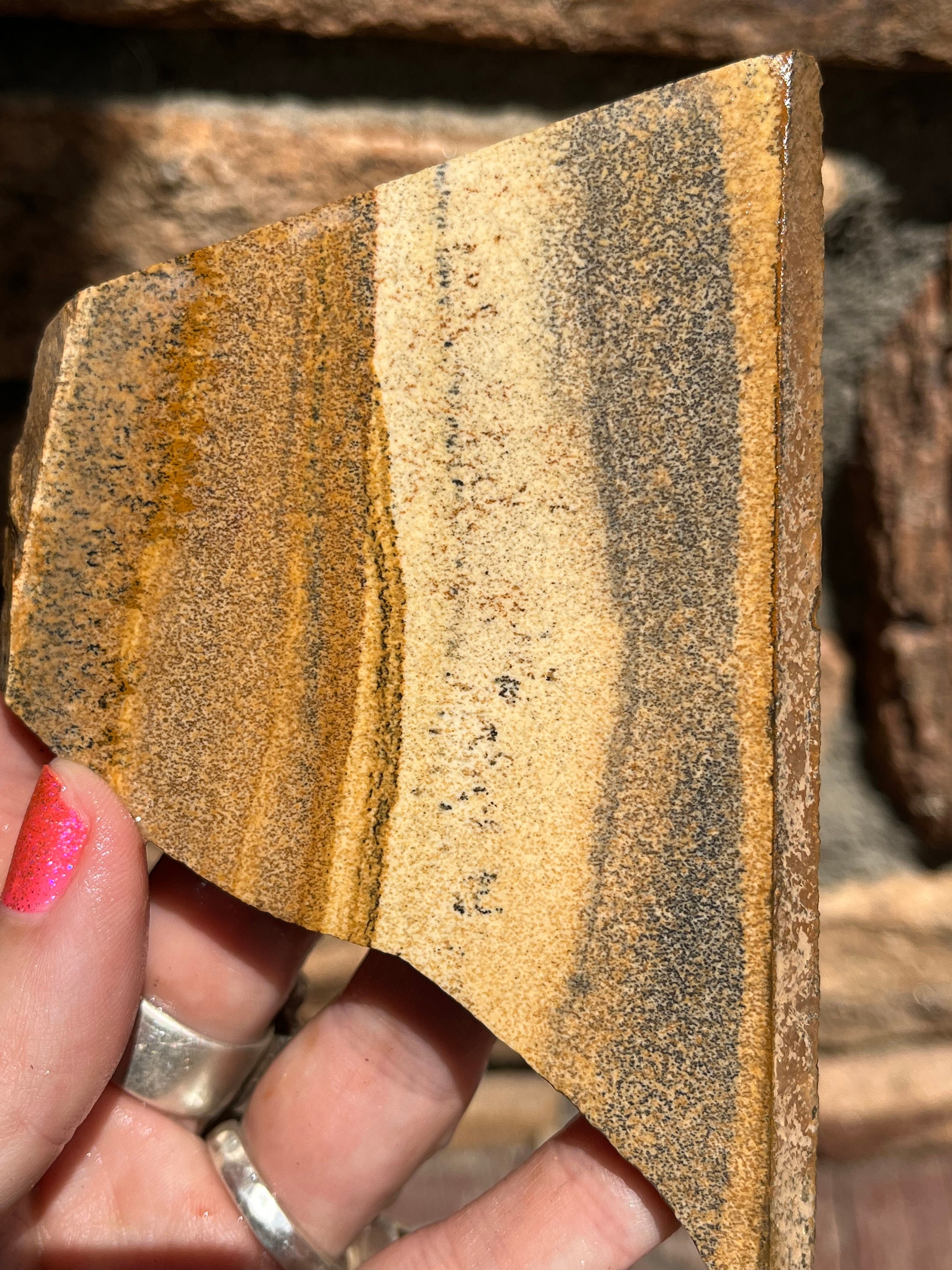 Picture Jasper Lapidary Slab Natural Stone Not Polished For Cabbing Rolling Hills