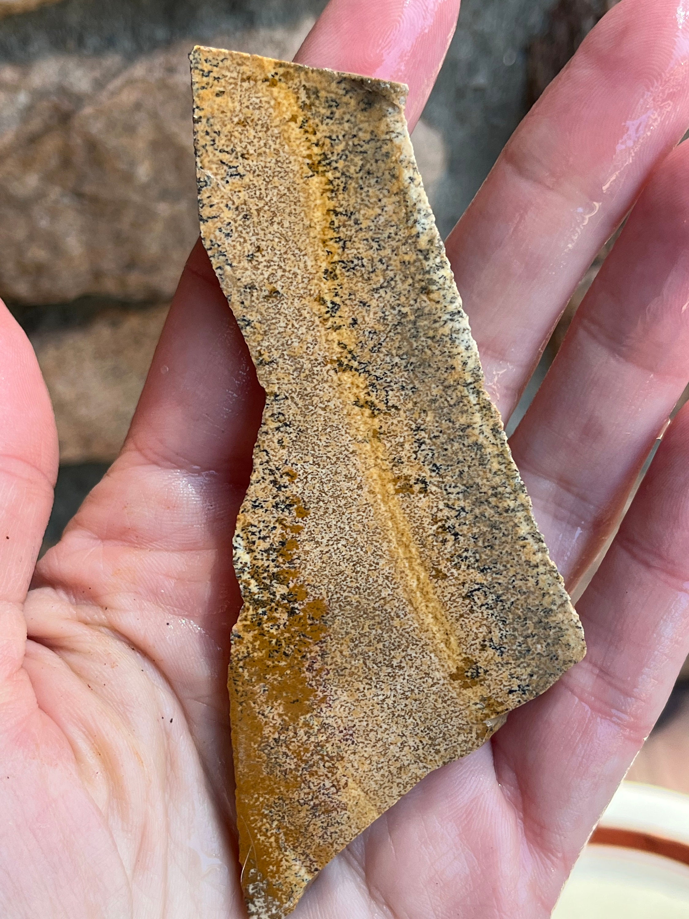 Picture Jasper Lapidary Slab Natural Stone Not Polished For Cabbing Rolling Hills