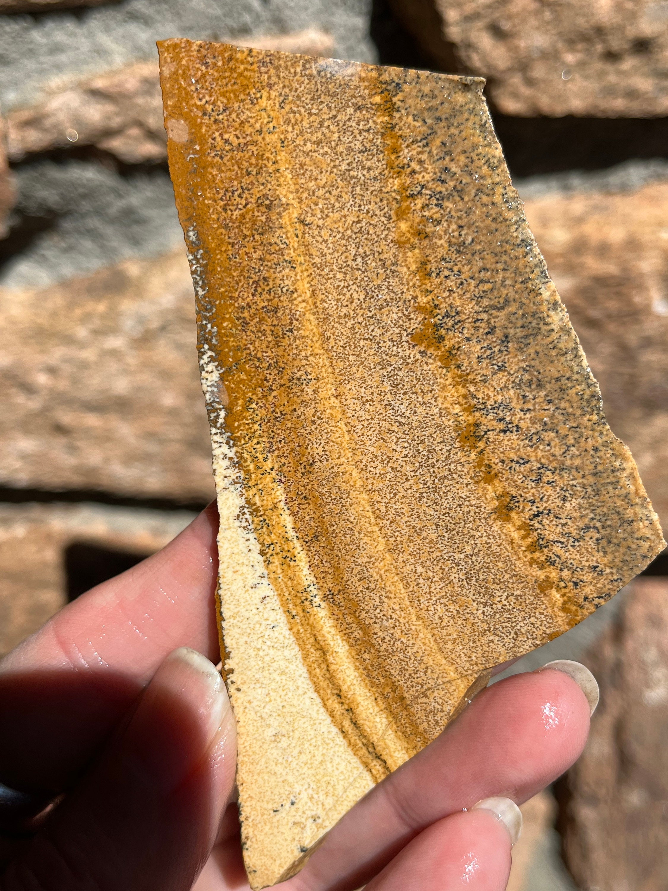 Picture Jasper Lapidary Slab Natural Stone Not Polished For Cabbing Rolling Hills