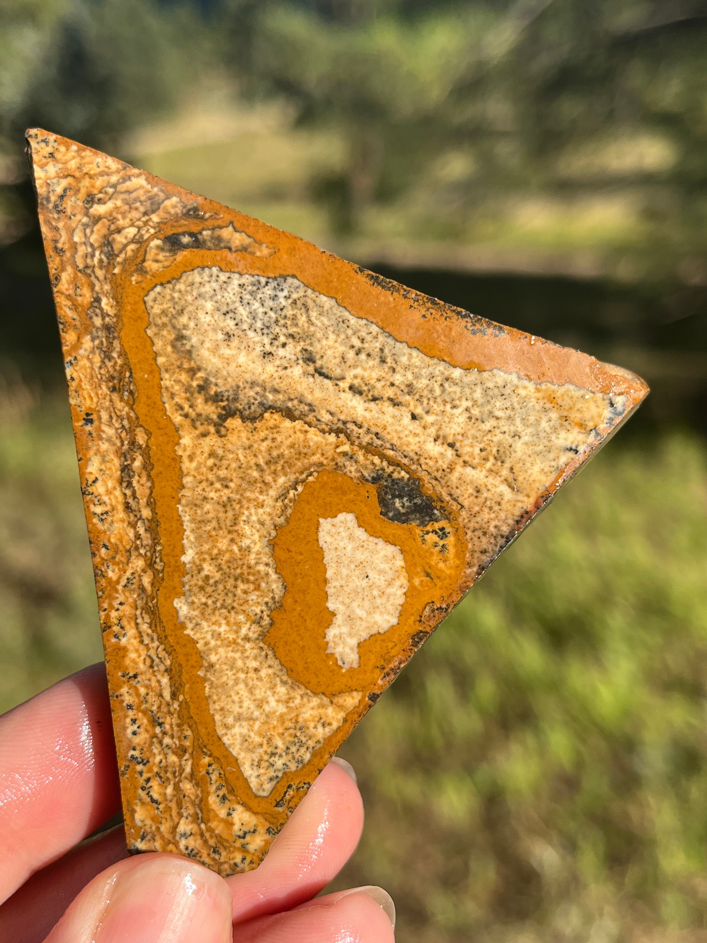 Picture Jasper Lapidary Slab Natural Stone Not Polished For Cabbing Rolling Hills