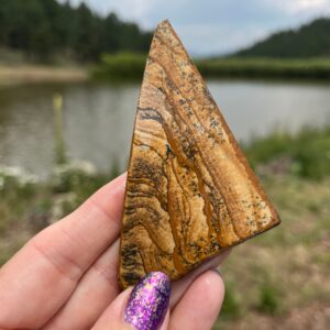Picture Jasper Lapidary Slab natural stone not polished for cabbing Rolling Hills Picture Jasper Lapidary Slab natural stone not polished for cabbing Rolling Hills