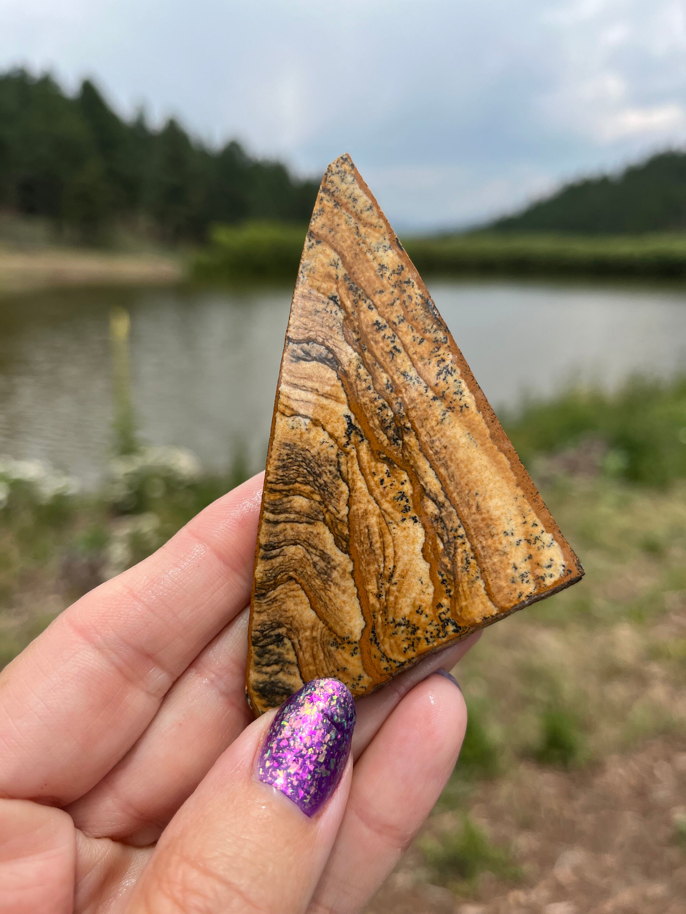 Picture Jasper Lapidary Slab Natural Stone Not Polished For Cabbing Rolling Hills