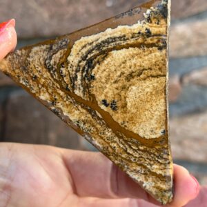 Picture Jasper Lapidary Slab natural stone not polished for cabbing Rolling Hills Picture Jasper Lapidary Slab natural stone not polished for cabbing Rolling Hills